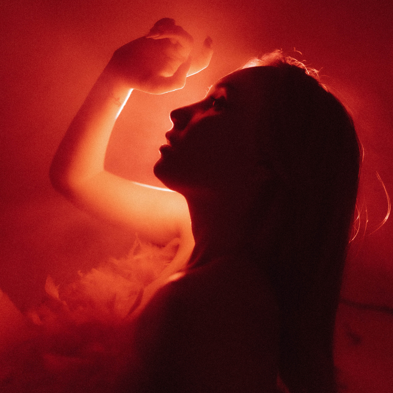 Red Light Therapy Panel